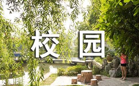 哪里能找到关于智能球衣在篮球训练中应用的信息_1